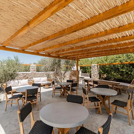 Sea & Olives And Πλάκα